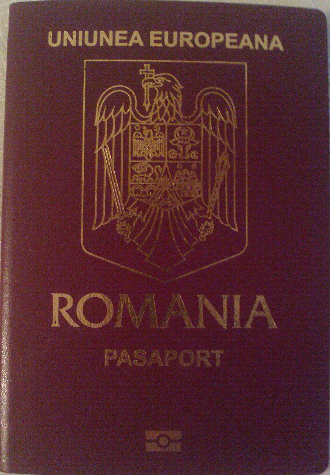 VESTE MARE PENTRU HEMEIUȘENII DIN AMERICA: MUNCA DIN SUA ȘI ROMÂNIA POATE FI VALORIFICATĂ ÎMPREUNĂ