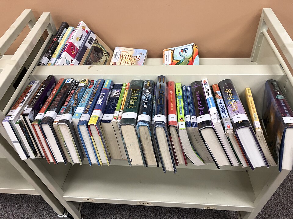 36,8 MILIOANE DE LEI PENTRU NOUL SEDIU AL BIBLIOTECII JUDEȚENE