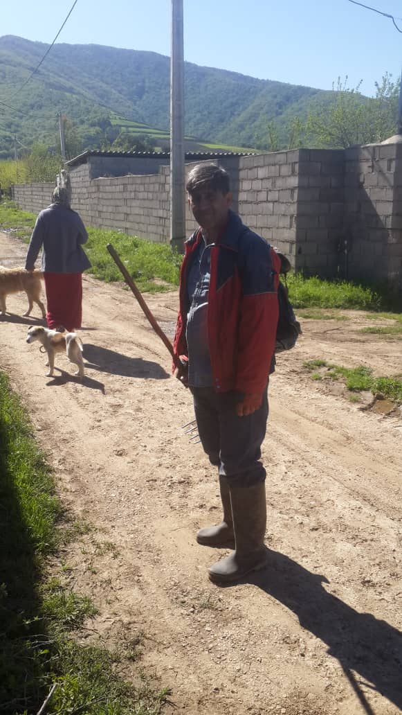 TRUFE NEGRE CONFISCATE ÎN JUDEȚ: RECOLTAREA DIN PĂDURE NU ESTE „LA LIBER”